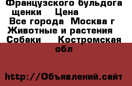 Французского бульдога щенки  › Цена ­ 35 000 - Все города, Москва г. Животные и растения » Собаки   . Костромская обл.